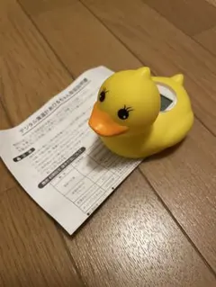 Item thumbnail for item dae5241b-efde-4058-a606-2e08571d7758