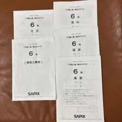 2026年最新】sapix 組分けテスト 新5年の人気アイテム - メルカリ