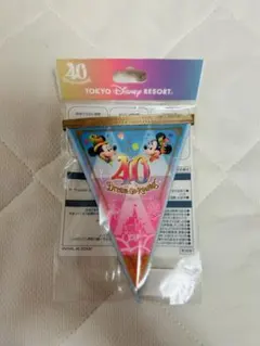 ディズニー　ドリームガーランド　ピンク×水色