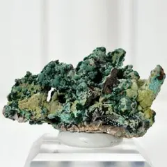 Pyromorphite パイロモルファイト 緑鉛鉱 中国 広西チワン族 桂林産