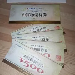ヤマダ電機 お買物優待券 5000円分