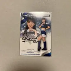 Item thumbnail for item b745bd30-7f80-4a99-a0de-8396f1bece37