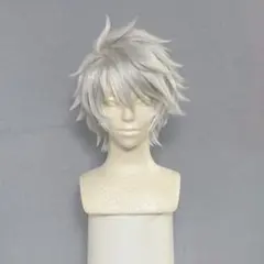 ✟スカリー ウィッグ✟セット済 ツイステ - メルカリ