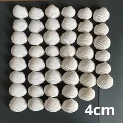 Item thumbnail for item db783c15-a415-4082-9880-0c2d92d7a0bc