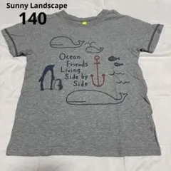 Sunny Landscape 半袖Tシャツ　140㎝　グレー　くじら