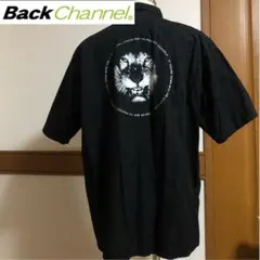 Item thumbnail for item 3f8b6b60-356c-4595-936b-da4345d401b7