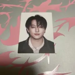 Stray Kids スキズ チャンビン DO IT IDフォトステッカー