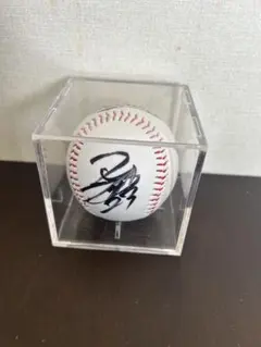 2024WBSCプレミア12 台湾代表 リン・ユーミン 投手 直筆サインボール