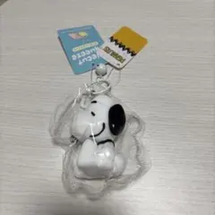 PEANUTS スヌーピー ダイカットスクイーズ
