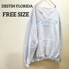 希少✨️DESTIN FLORIDA【FREE SIZE】Vネック トレーナー
