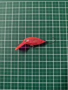 2025年最新】芝桜グローの人気アイテム - メルカリ