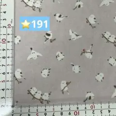 ⭐️191ラミネート生地1メートル