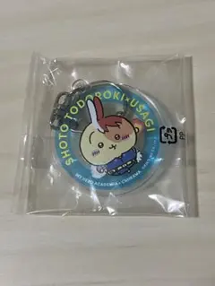 ちいかわ 僕のヒーローアカデミア コラボ アクリルキーホルダー