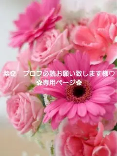 紫奇　プロフ必読お願い致します様 リクエスト 4点 まとめ商品♡