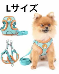 Item thumbnail for item 18b14e48-0cde-4721-833f-2966c333a349