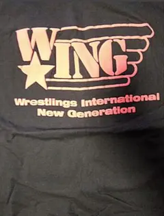 2026年最新】w☆ing プロレスの人気アイテム - メルカリ