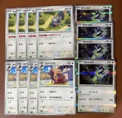 ホシガリス　ヨクバリス　モトトカゲ　12枚セット