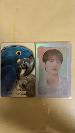 2026年最新】ジョンウ nct トレカの人気アイテム - メルカリ