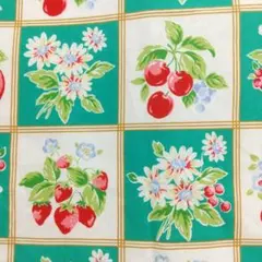 ルシアン LECIEN #317336（グリーン）綿シーチング 81×66cm