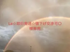 La☆即日発送☆値下げ交渉可〇様専用ページ