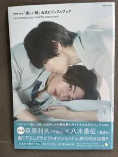 美しい彼 公式ビジュアルブック