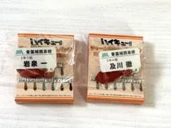 ハイキュー！！ チャーム付きネームバッジ 青葉城西高校　及川・岩泉