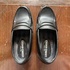 Item thumbnail for item b4f1d631-4386-463c-b437-fcc86d30ad2f