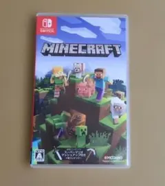 マインクラフト Switch版 ケースのみ