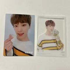 SEVENTEEN ディノ トレカ