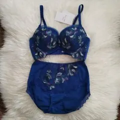 トリンプ　レッドレーベル　天使のブラ0119　定価11440円　008 D70M