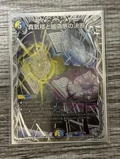 タ*シ様 デュエルマスターズ ゴッドデッキパーツ まとめ売り タ*シ様 デュエルマスターズ ゴッドデッキパーツ まとめ売り - メルカリ