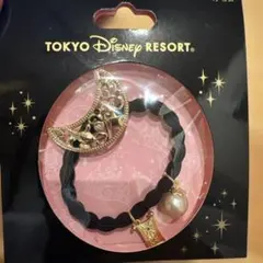 東京ディズニーリゾート ヘアゴムのサムネイル
