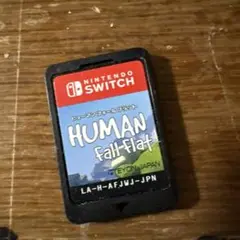 ヒューマン フォール フラットカセットSwitch