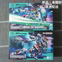 HG ジークアクス ＆ エンディミオンユニット覚醒時 신품 미개봉 ２体セット