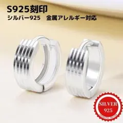 P-45.【最高品質】ストライプピアス　シルバー925　ホワイトゴールド