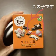 2026年最新】もうしら寝の人気アイテム - メルカリ