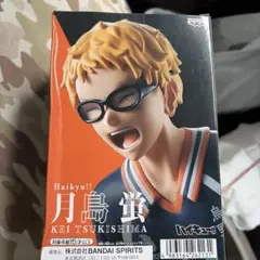 ハイキュー!! 月島蛍 フィギュア 11