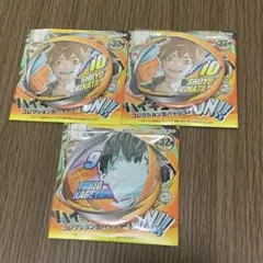 日向翔陽 影山飛雄 ファンパーク コレクション缶バッジ