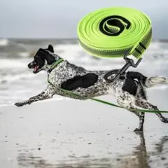 Item thumbnail for item 0165f9f9-6285-489e-ad6d-c7b9955ae63c