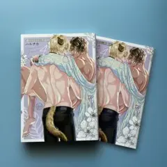 blコミック【ハルチカ】森のくまさん、冬眠中。④ 小冊子付き特装版