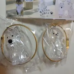 わんこのタイムカプセル　モコ　モカ　2種類