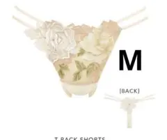 Item thumbnail for item 7f81f25d-3b35-45ee-b3c2-ba6faa69e782