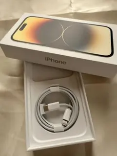 Apple Lightningケーブル iPhone 14 Proの付属品