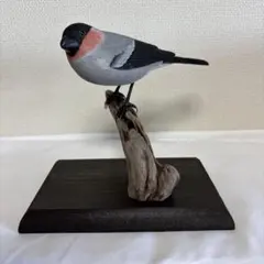 野鳥イソヒョドリ 彫刻 木彫りの野鳥 リアルバードカービン
