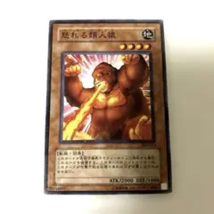 遊戯王 - ゴリラ　遊戯王　カードまとめ DBC】ゴリラの飼い方 | 遊戯王 - コラム | ガチまとめ