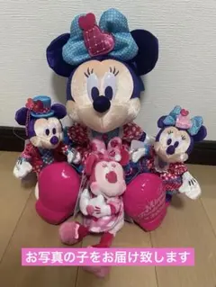 ディズニー パルパルーザ ミニー ぬいぐるみ ぬいバ ぬいチャ