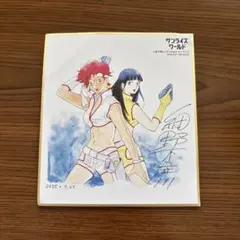 サンライズワールド ミニ色紙 - メルカリ
