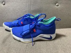 NIKE PG2.5 28cm