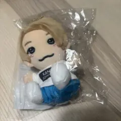 Aぇgroup！ 正門良規 ちびぬい 即購入可