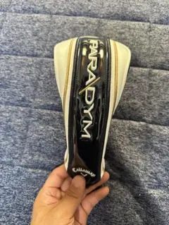 Item thumbnail for item 441fa6e6-37d3-469b-bf12-37562516f757